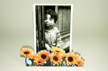 images/productimages/small/mdf + zw foto.jpg